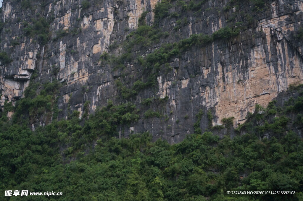 陡峭山壁上的葱郁植被