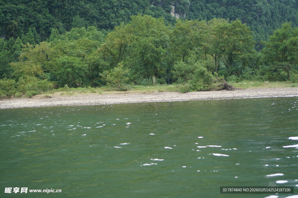 河畔绿荫下的宁静水域