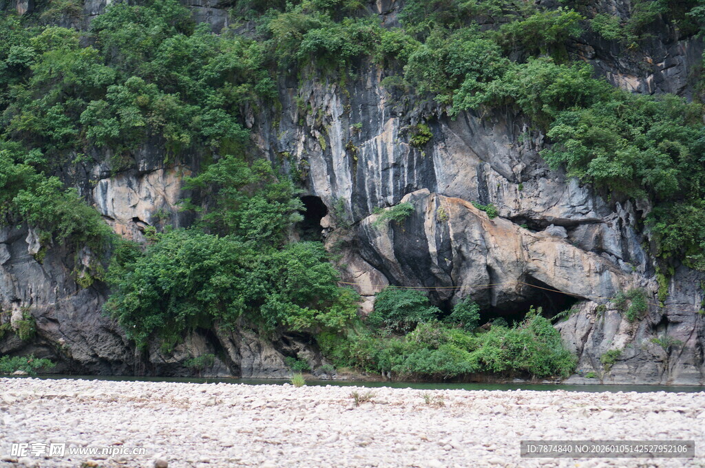 江边岩石与繁茂绿植景观