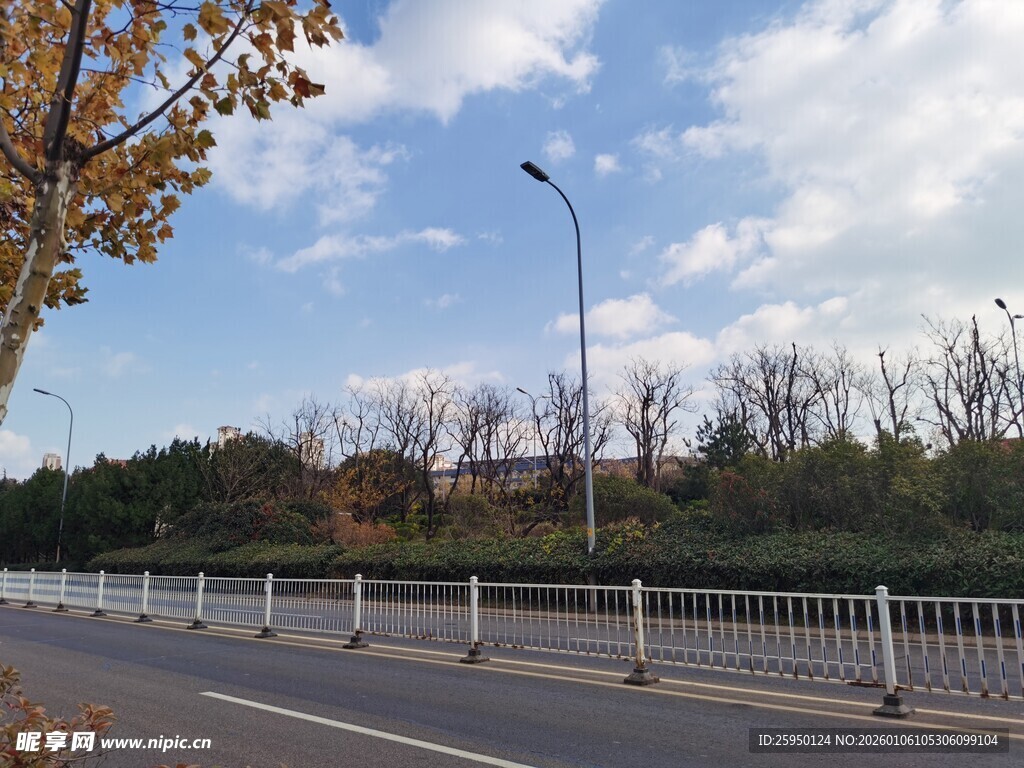 秋日公路风景