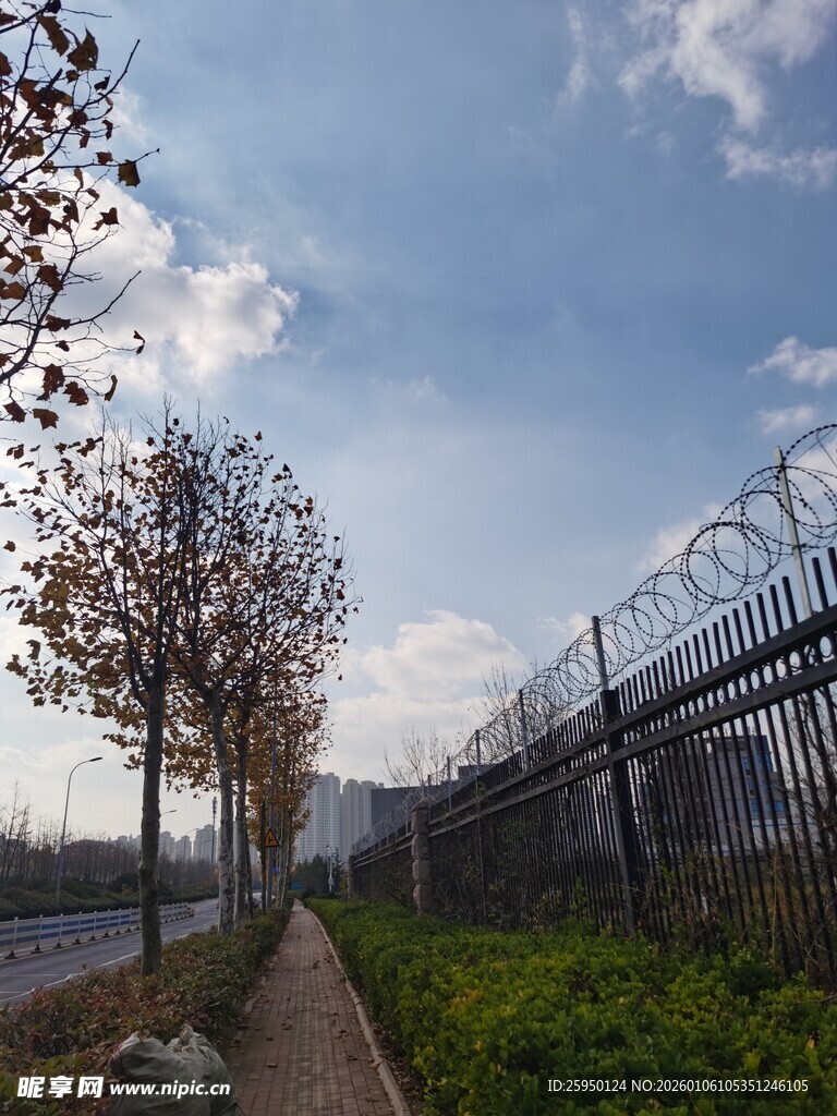户外林荫小道与围栏景观