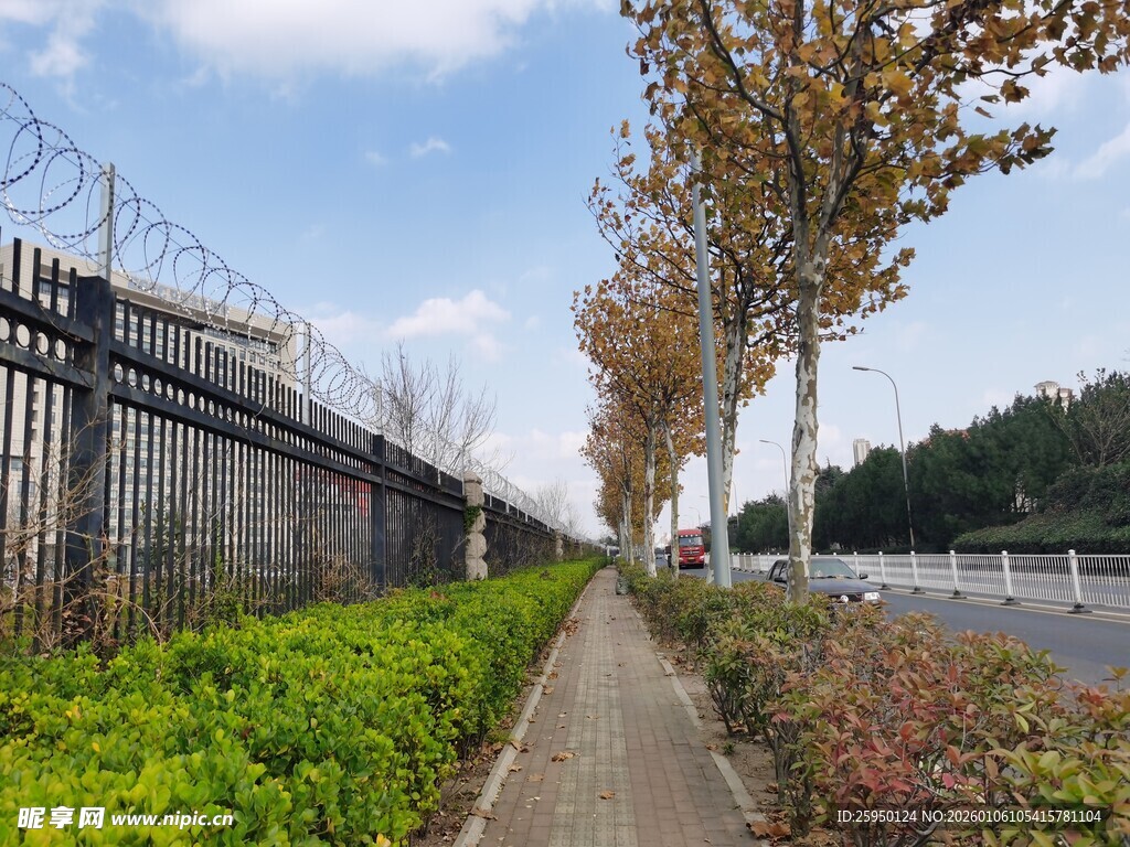 城市路边绿化带景致