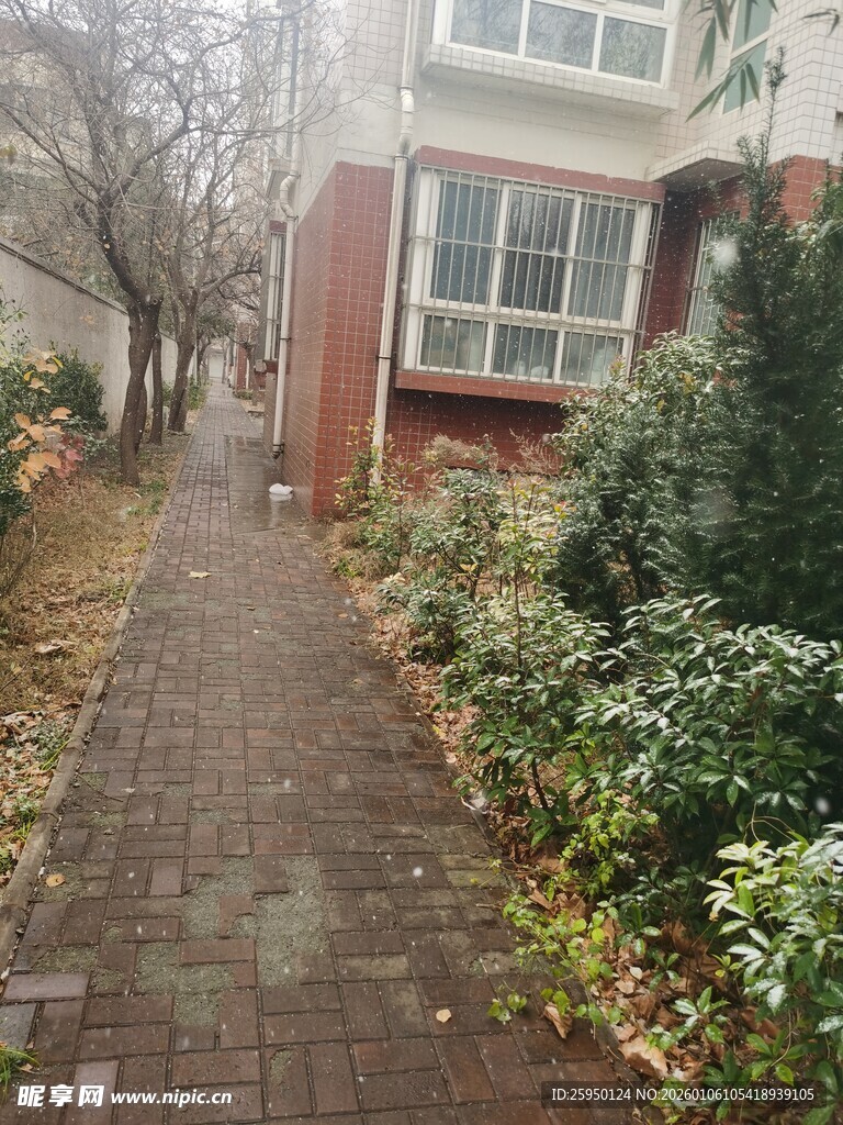 冬日庭院小径景观