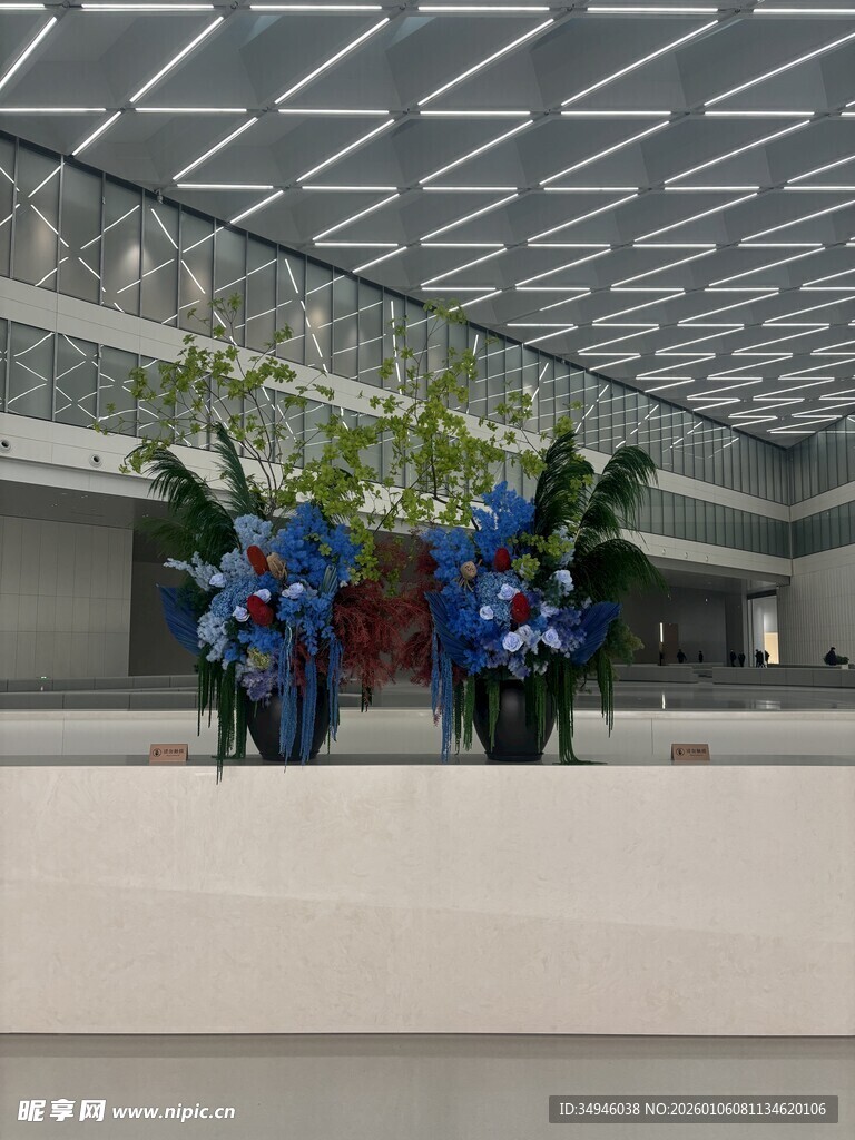 室内蓝色花卉景观布置