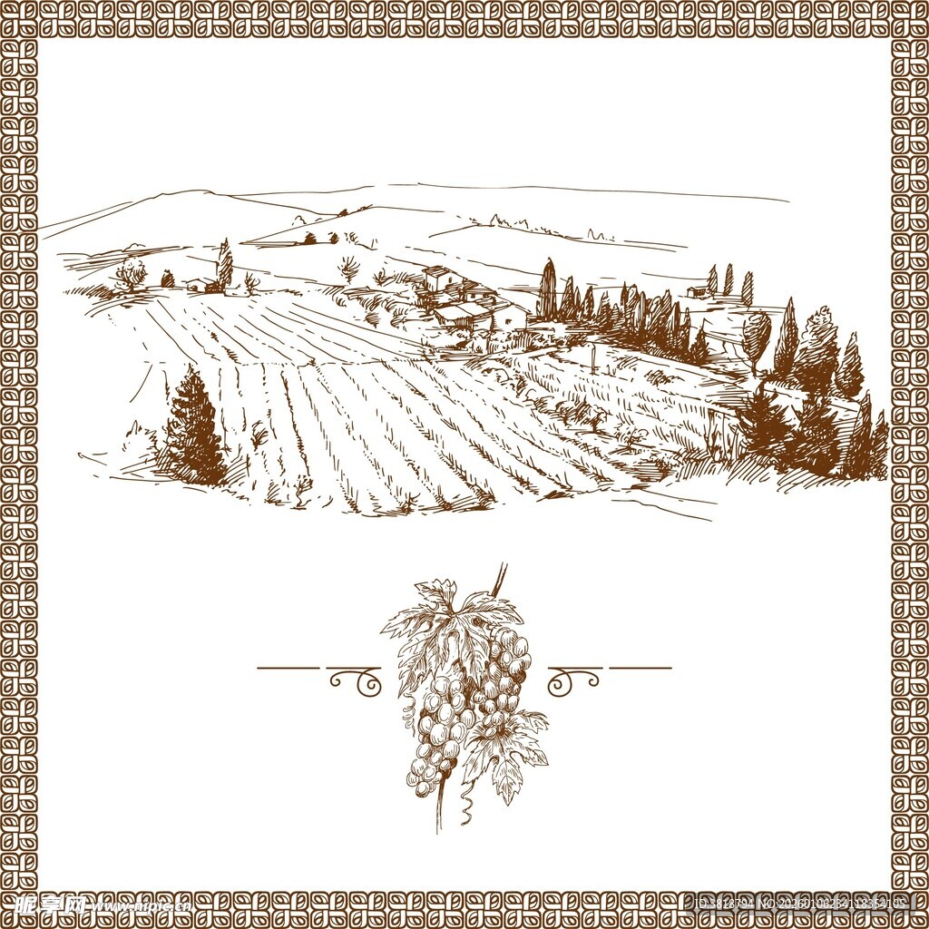 田园葡萄园风景手绘插画