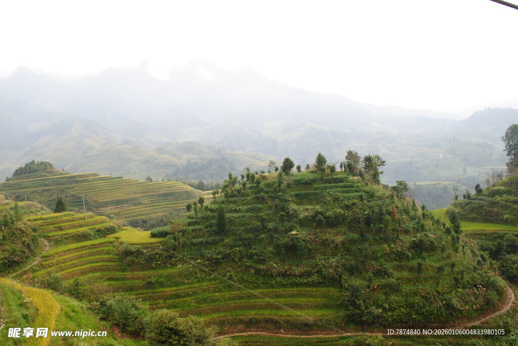 山间云雾缭绕的翠绿梯田