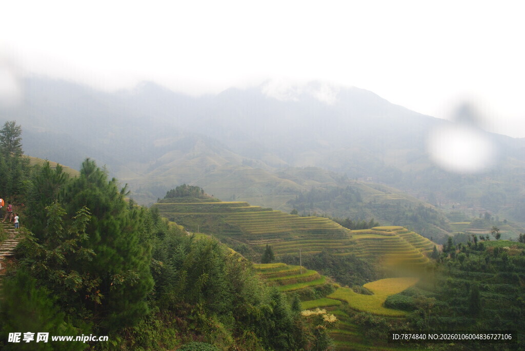 山间云雾缭绕的翠绿梯田