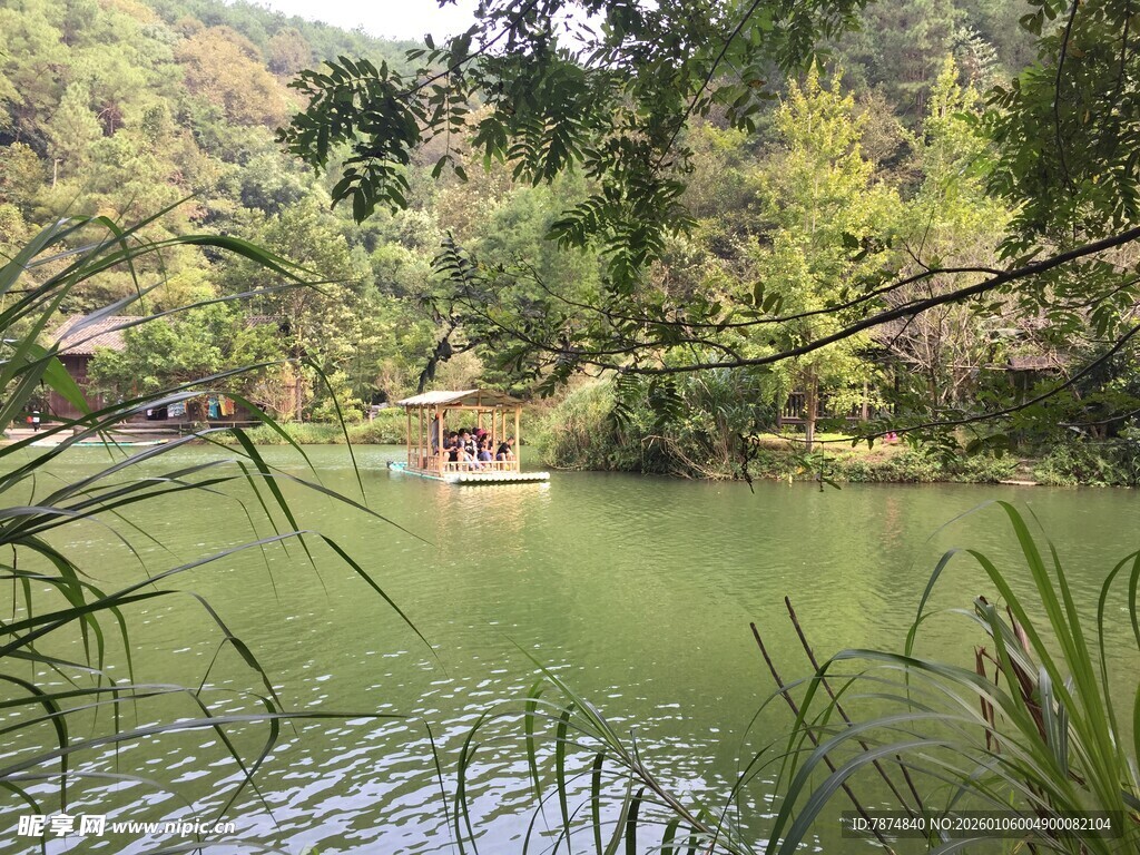 清幽山林中的静谧湖水