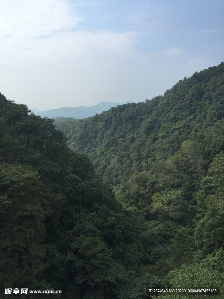 青山葱郁的山谷景色