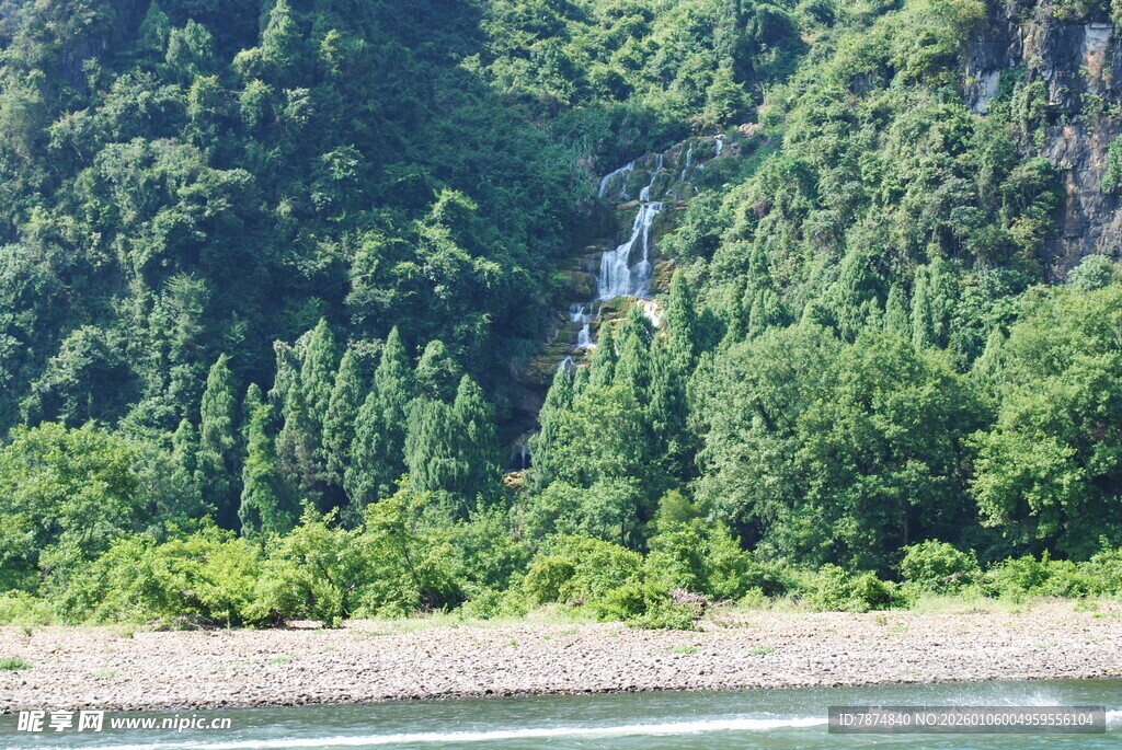 山间溪流旁的葱郁森林