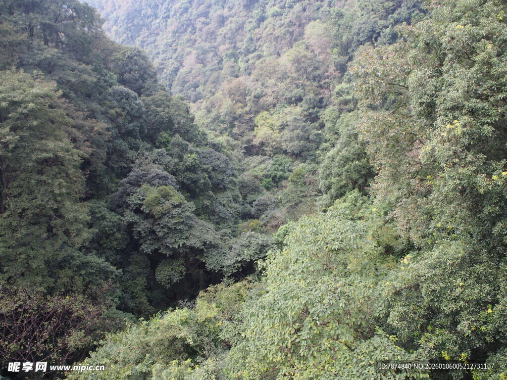 山间葱郁峡谷景观