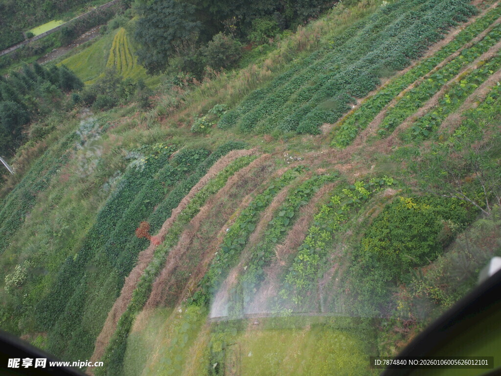 俯瞰多彩梯田美景