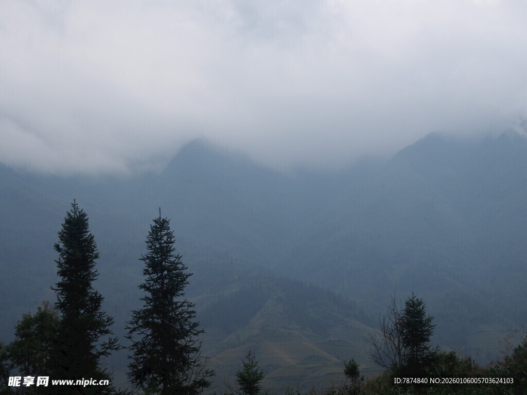 云雾缭绕的山林景色