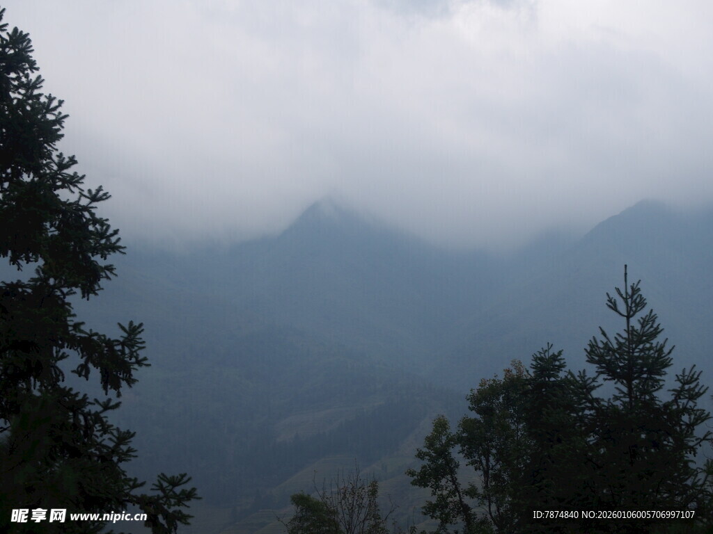 云雾缭绕的山林美景