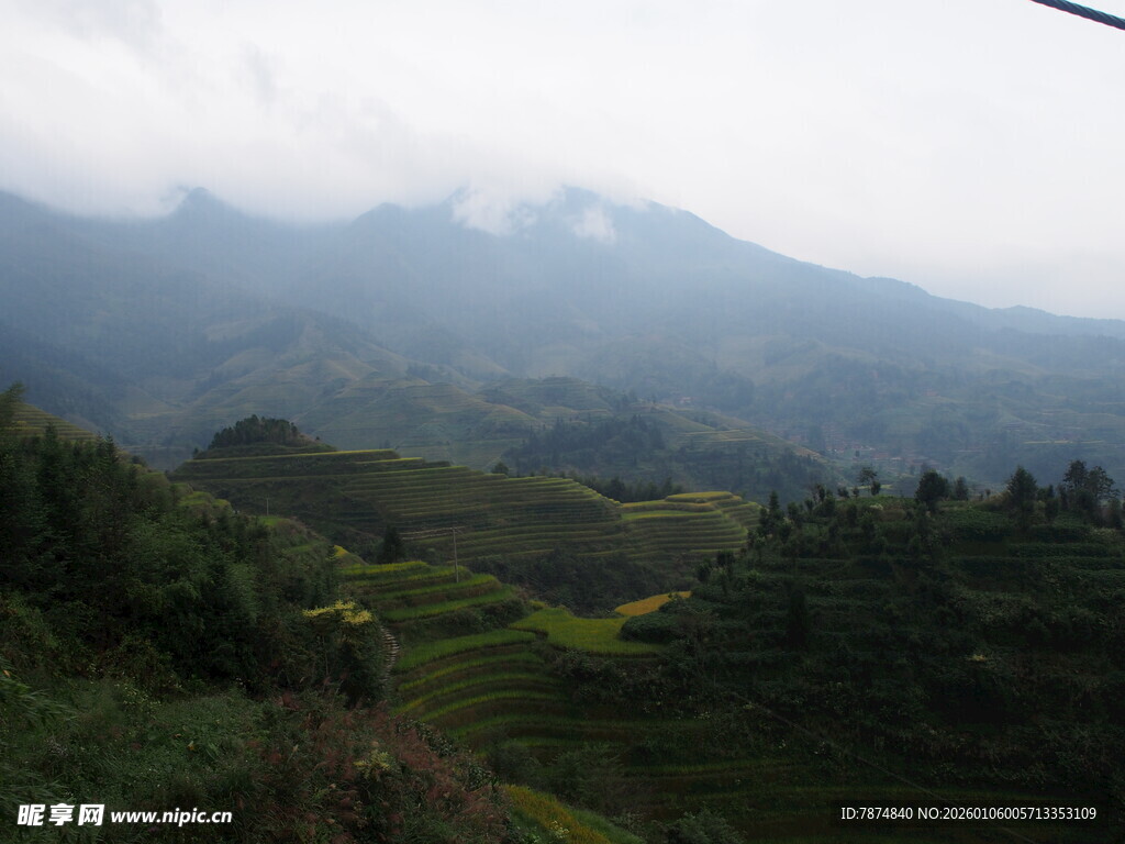 山间云雾缭绕的翠绿梯田