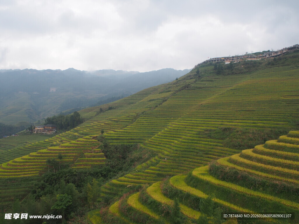 壮美梯田景观 绿意盎然