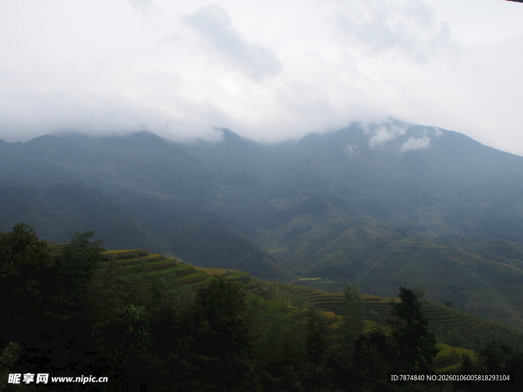 云雾缭绕的山林美景