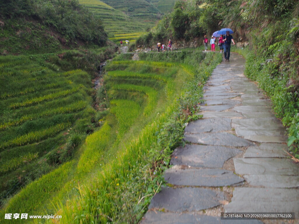 漫步于翠绿梯田石板小径