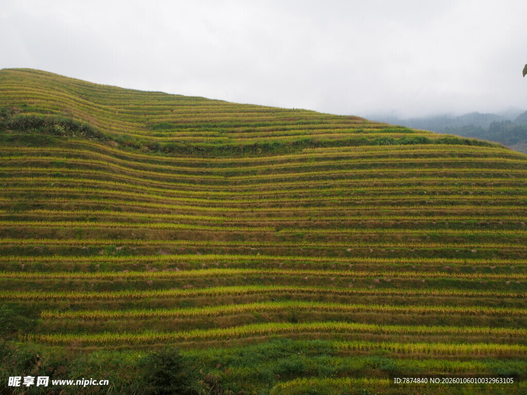 层层叠叠的美丽梯田景观