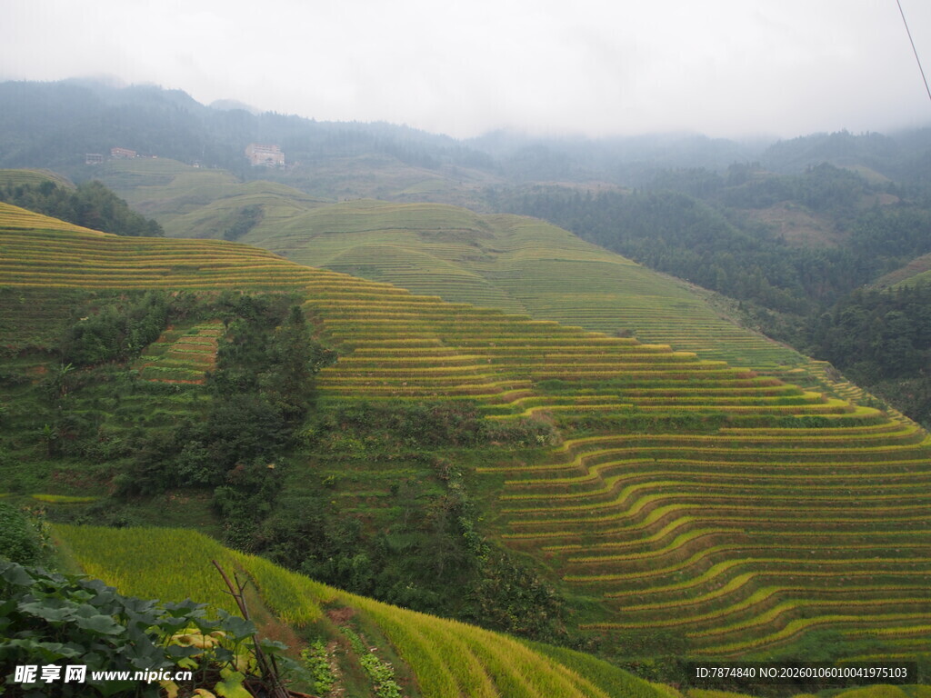 山间梯田美景