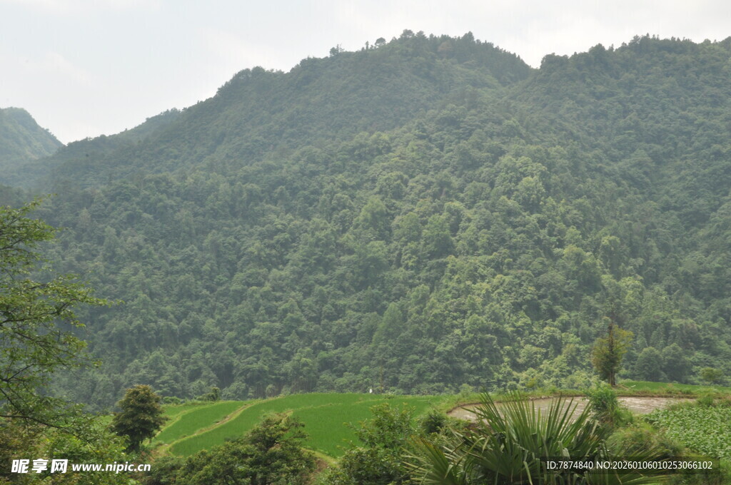 青山绿野间的自然美景