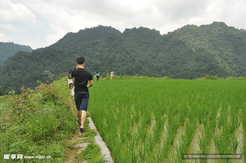男子漫步于绿野山间小道