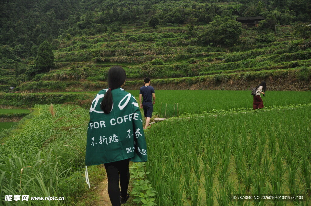 稻田中志愿者开展环保行动