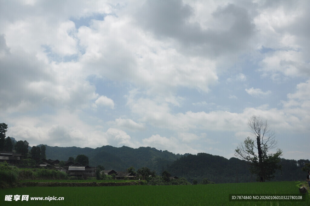 田园风光 绿野与云的景致