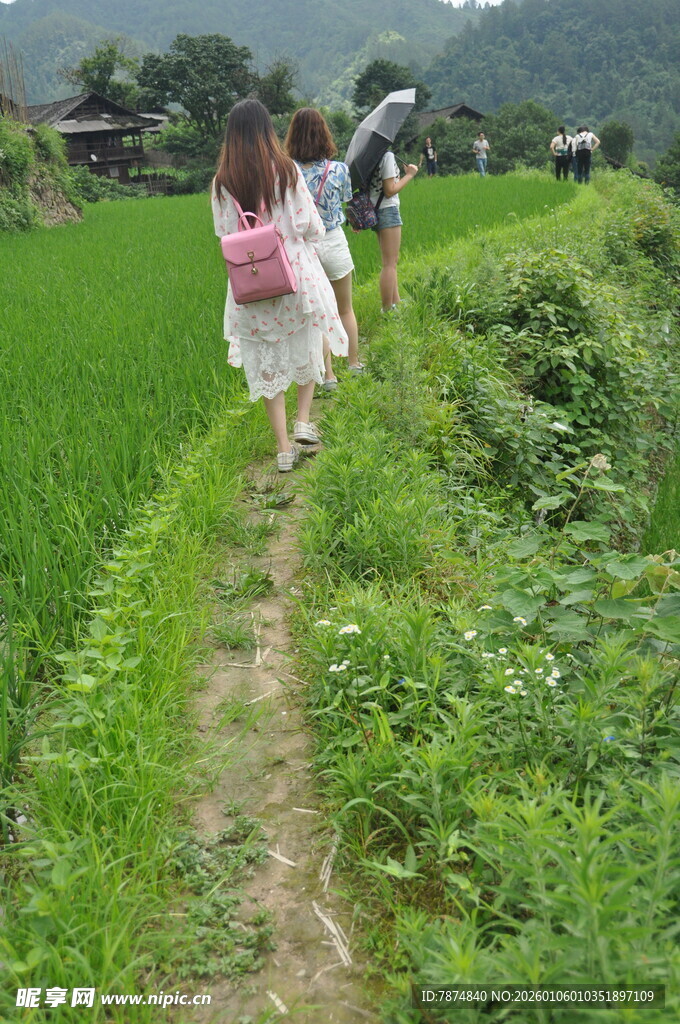 乡村小路上的快乐同行