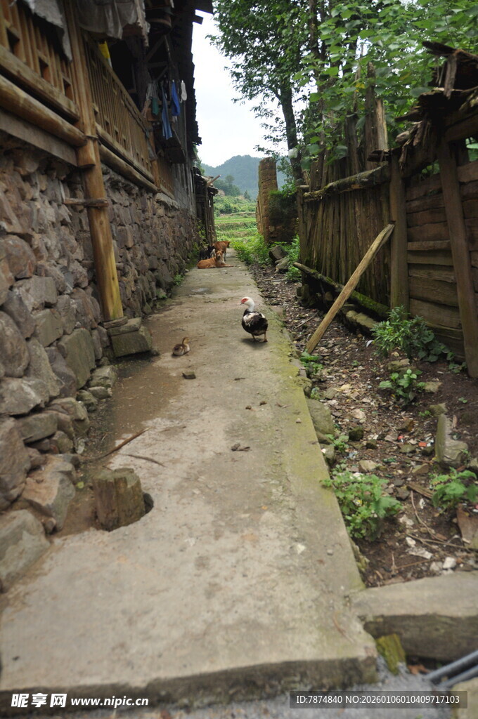 乡村狭窄泥泞的石板小道