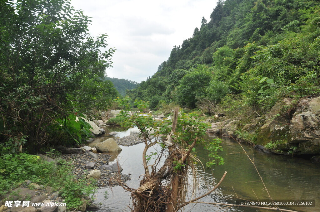 山间溪流 绿意盎然的景致