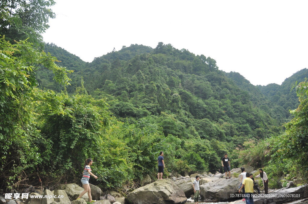 山间溪流旁的自然美景