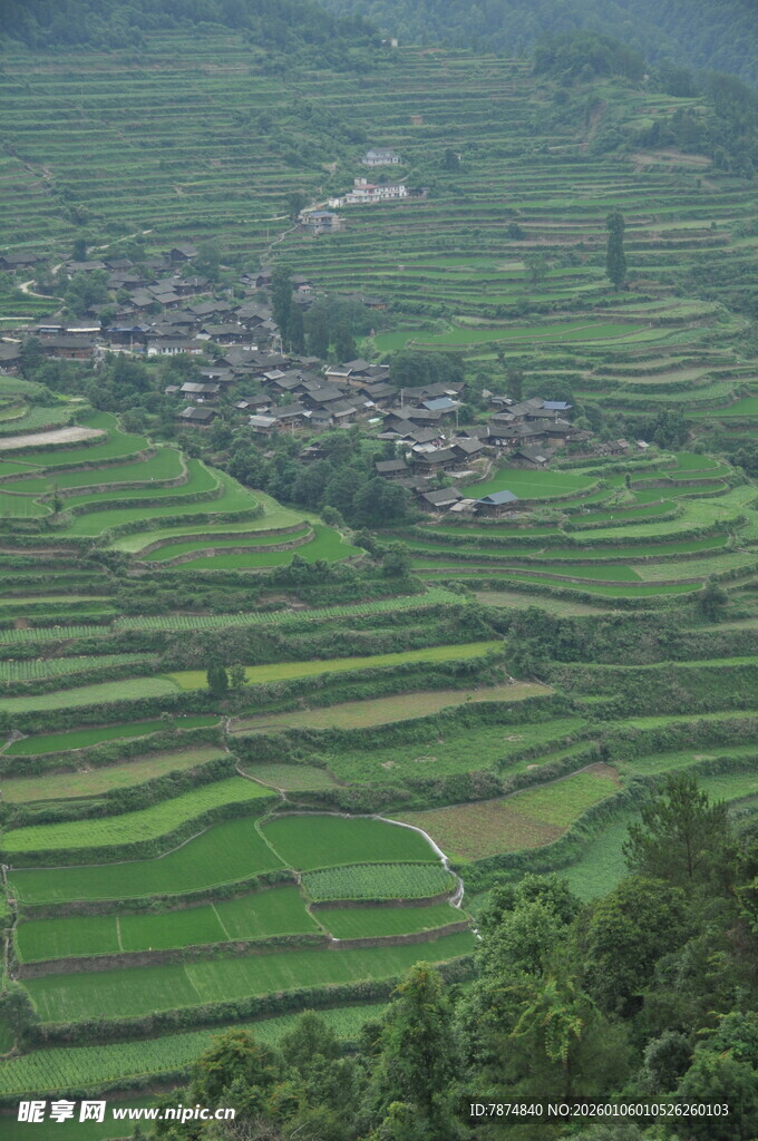 山间梯田村落美景