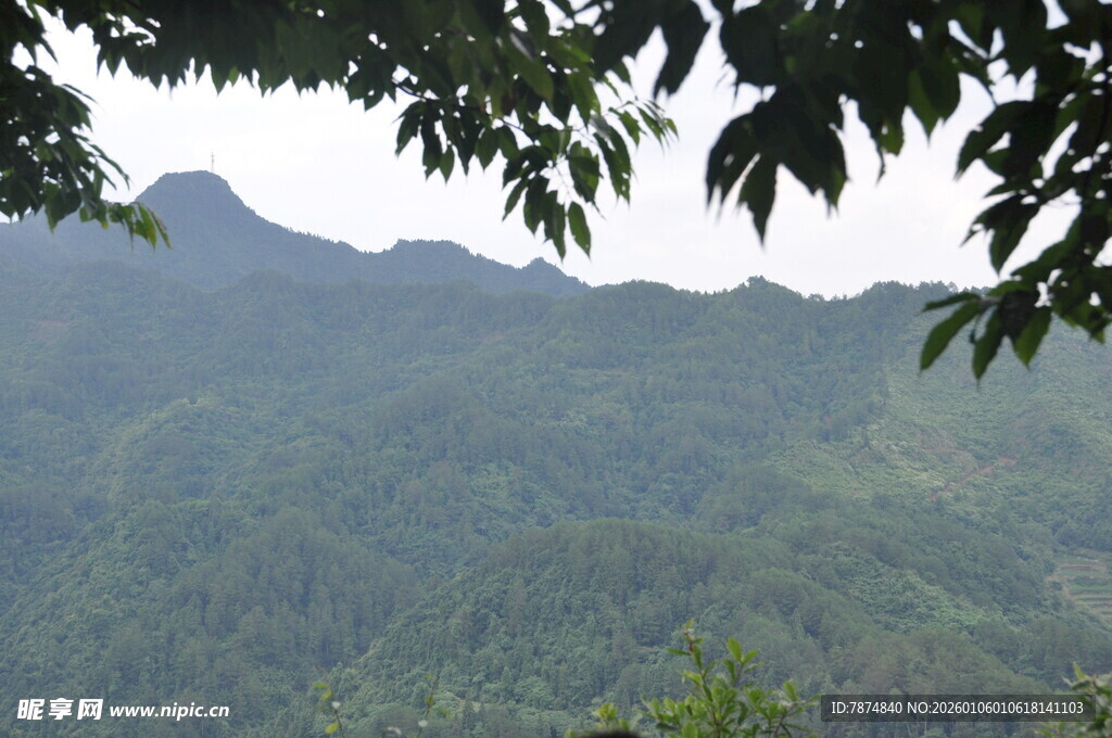 青山绿树间的秀丽山景