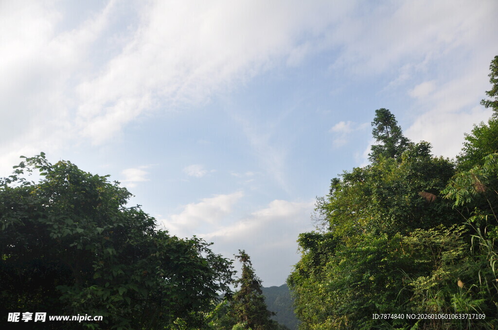山林间的蓝天白云绿树