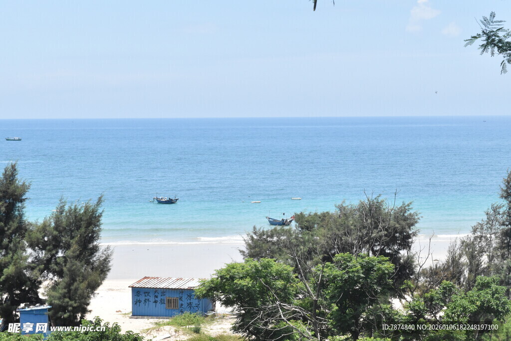 海边绿树环绕的美丽景致