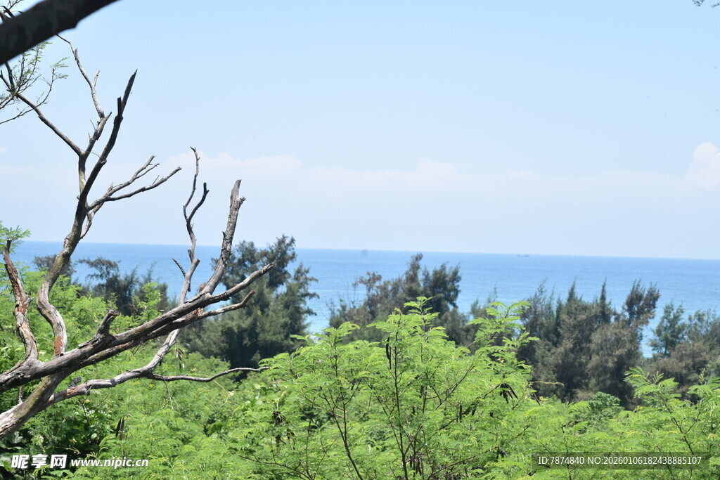 林间远望碧海蓝天