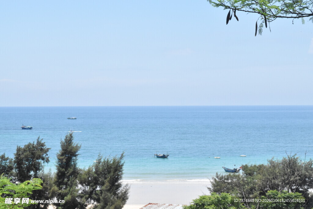 海边美景 绿树碧海相衬