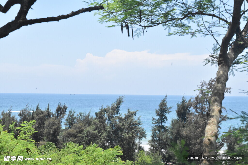 绿树掩映下的蔚蓝海景