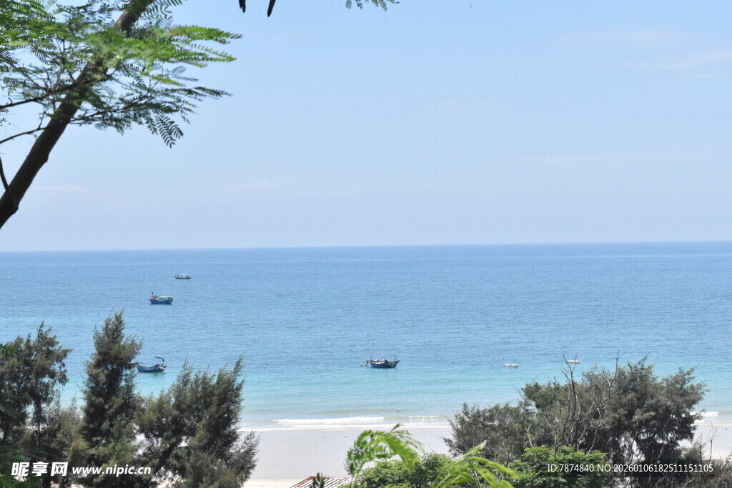 海边风景 绿树衬碧海