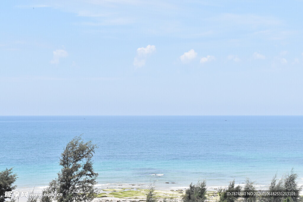 海边风景 绿树与碧蓝大海