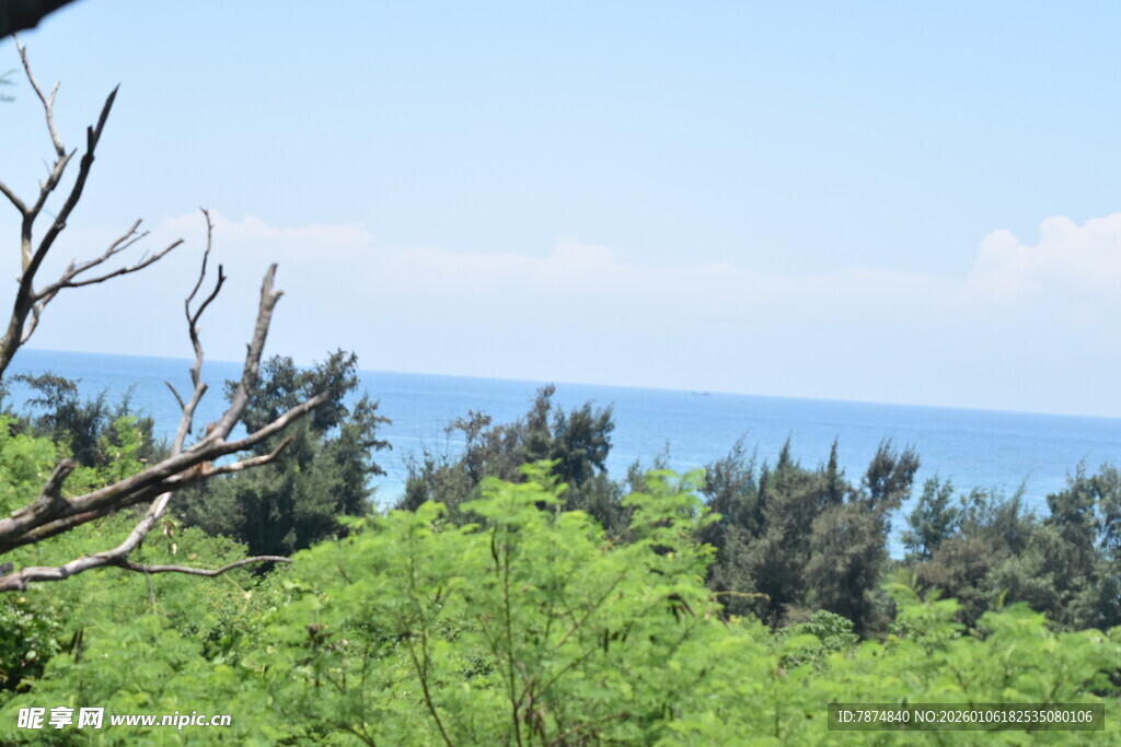绿意盎然的山林与远处海景