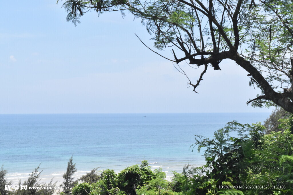 海边绿树与蔚蓝大海景致