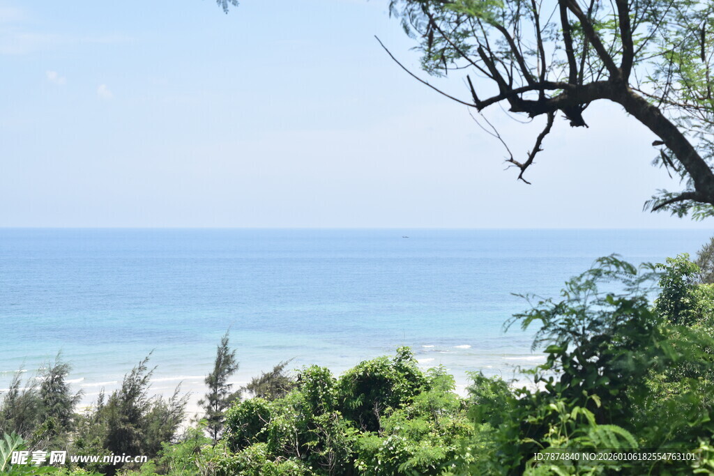 海边绿意盎然的自然景致