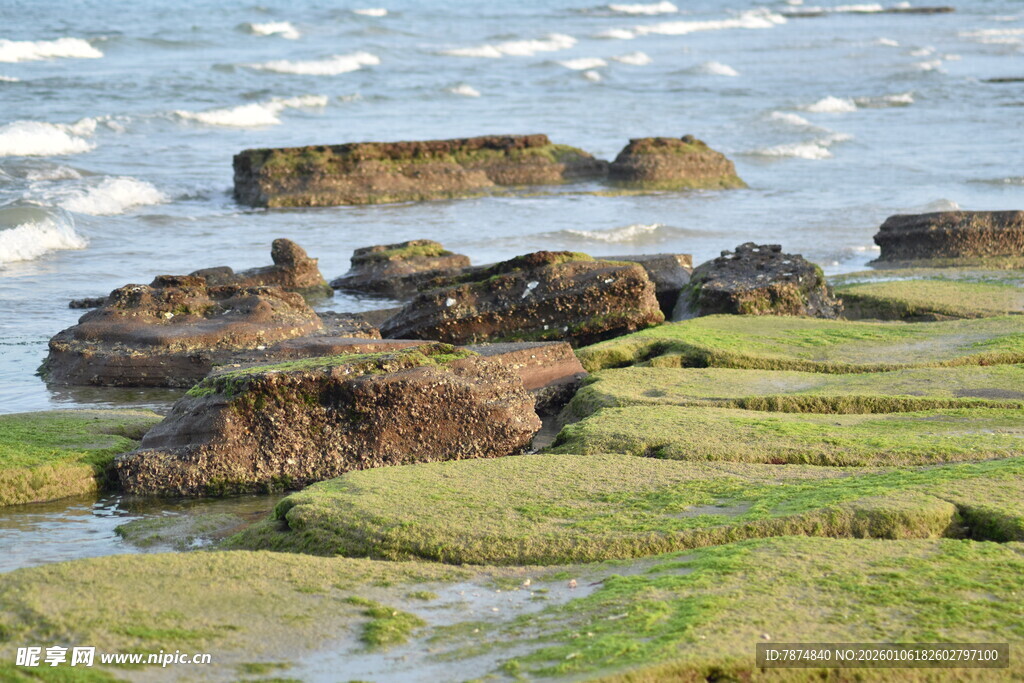 海边礁石与翠绿岸滩景观