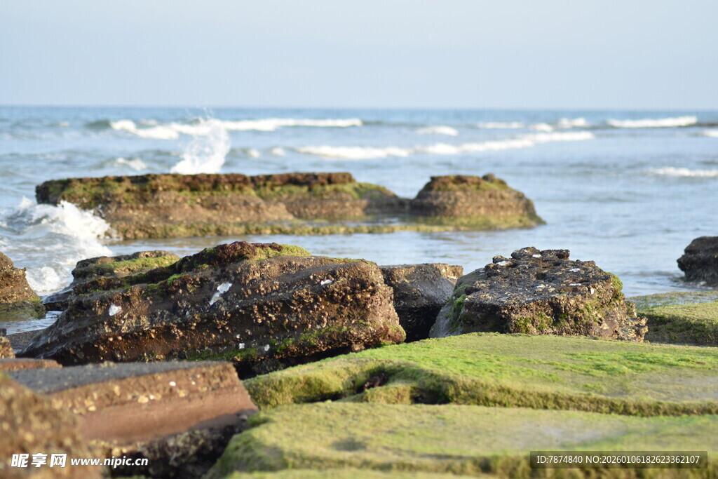 海边礁石与海浪景观