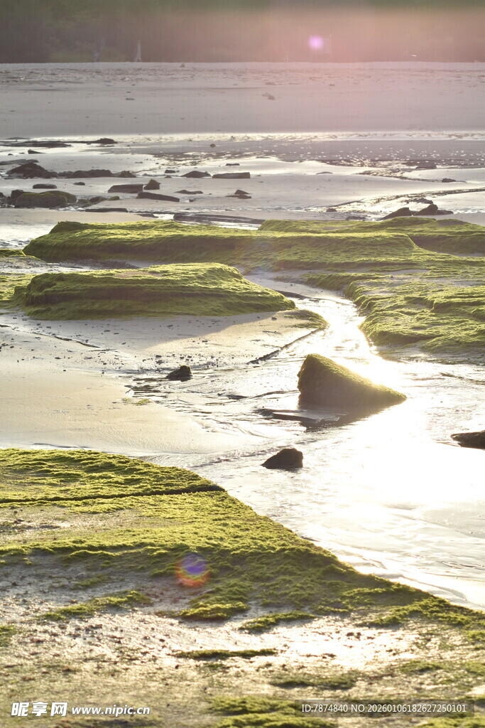 海边湿地风光美景