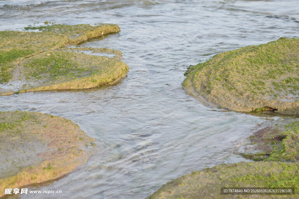 蜿蜒河流中的绿色草洲