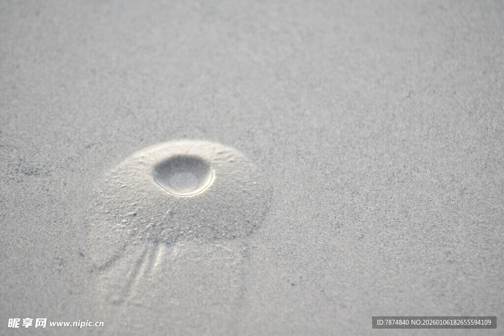 沙滩上的水母印记