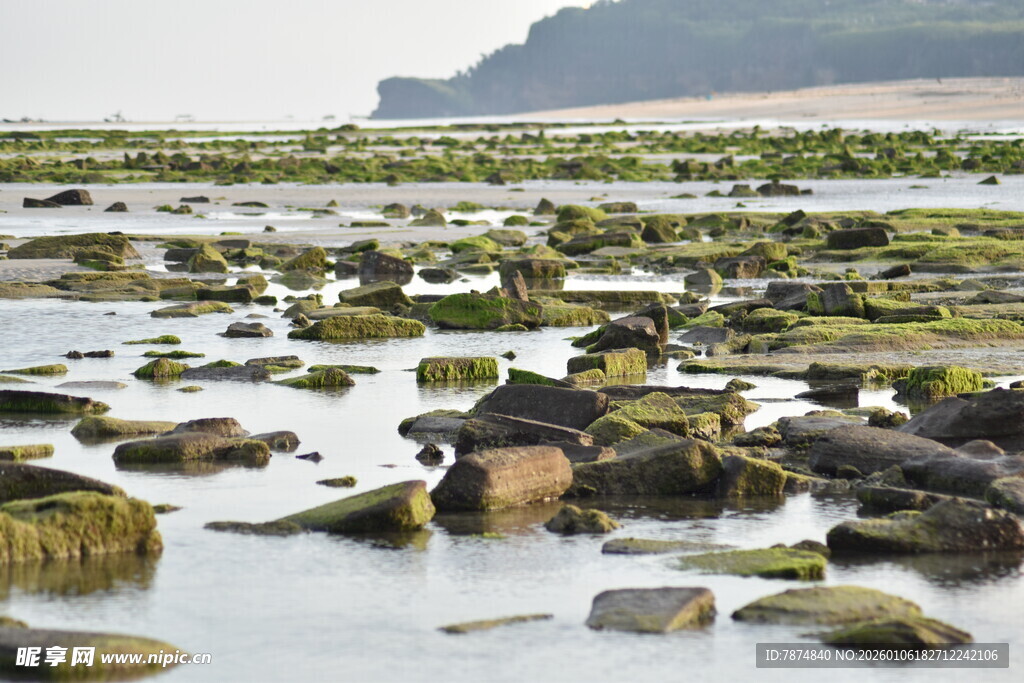 海边礁石滩涂景观